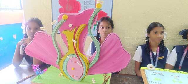 Student Innovation Showcase